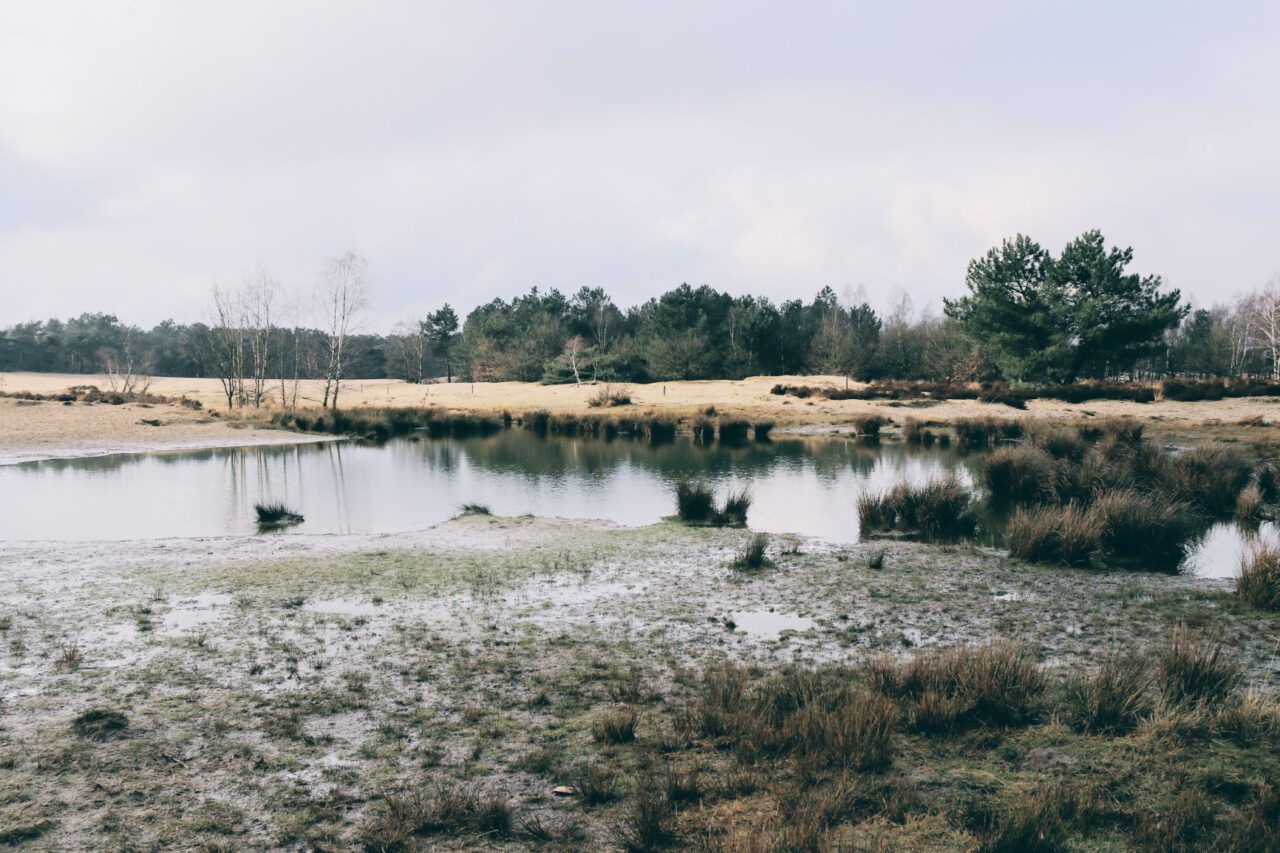 Nationaal Park De Loonse en Drunense Duinen - When in Holland